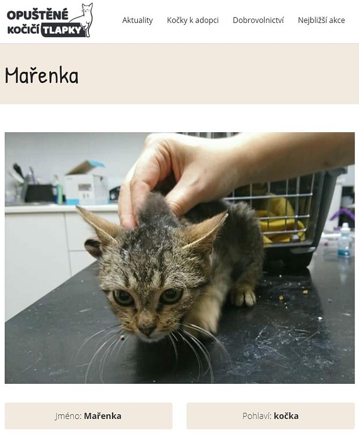 Kočka Mařenka