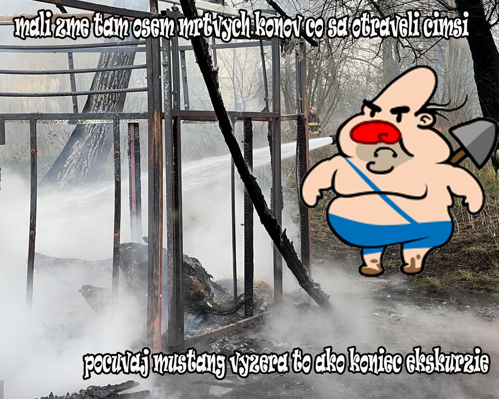 náhodný obrázek k měsíci