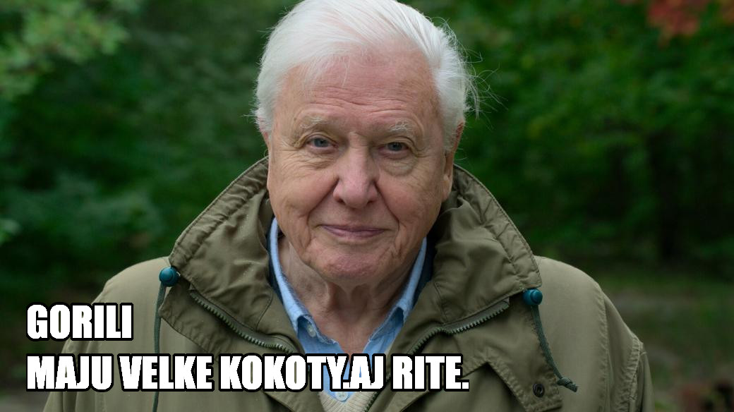 náhodný obrázek k měsíci
