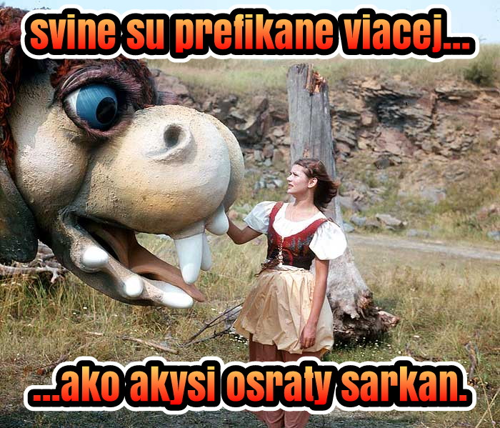 náhodný obrázek k měsíci