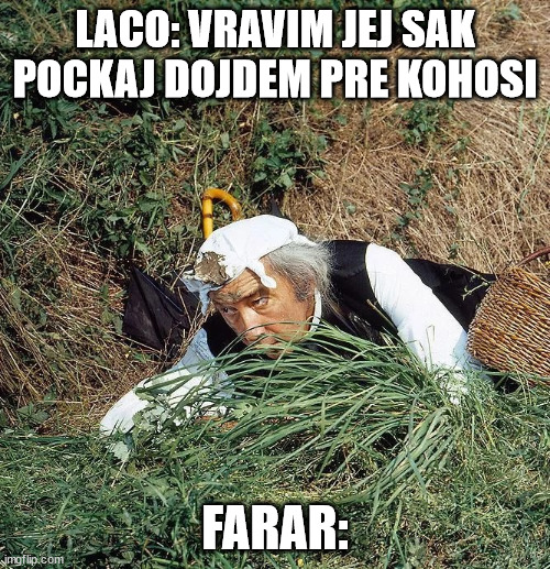 náhodný obrázek z archivu