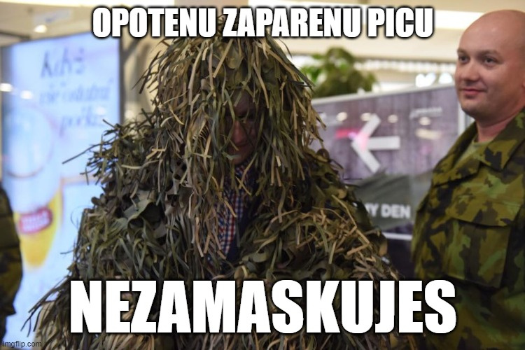 náhodný obrázek z archivu