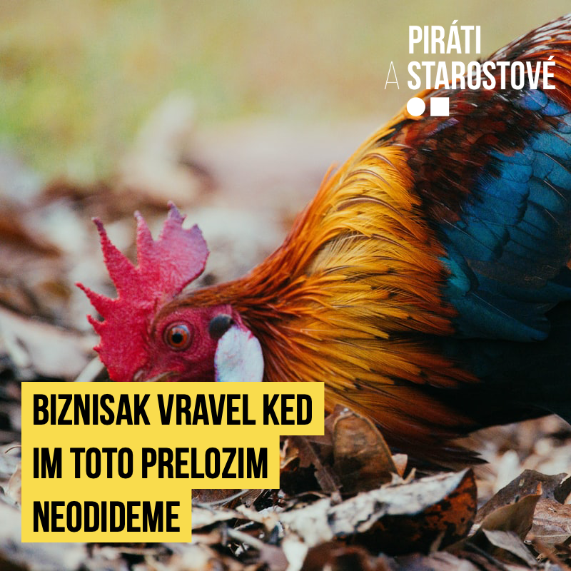 náhodný obrázek k měsíci